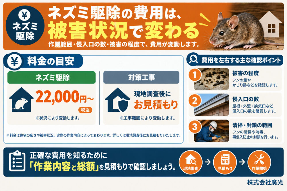 ネズミ駆除費用相場を解説
