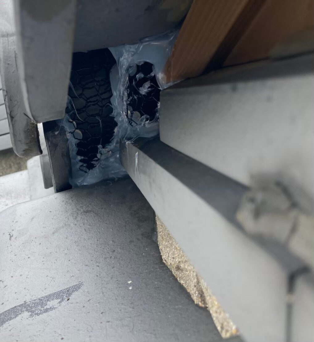 ハクビシンによる被害　Y様邸　駆除実績