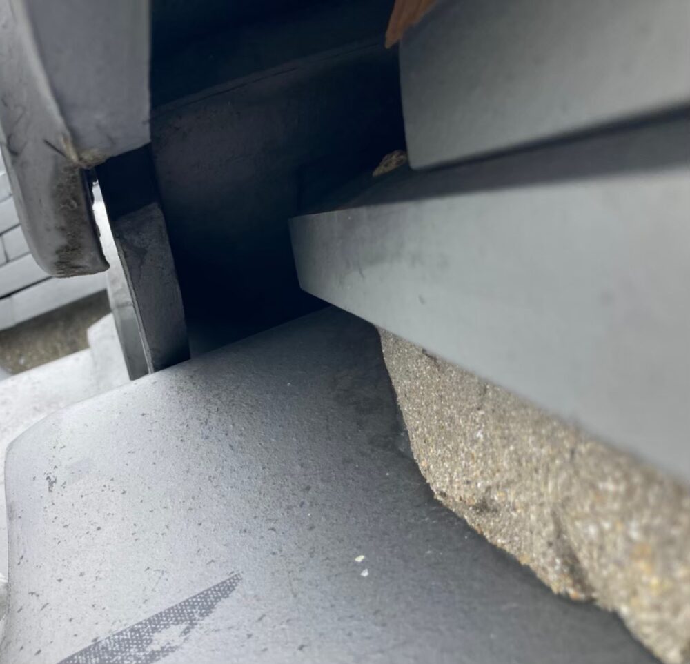 ハクビシン　侵入経路