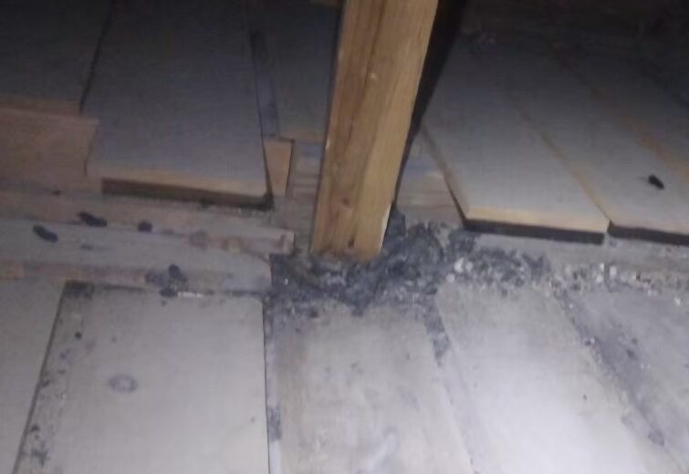 ハクビシンによる被害　Y様邸　駆除実績