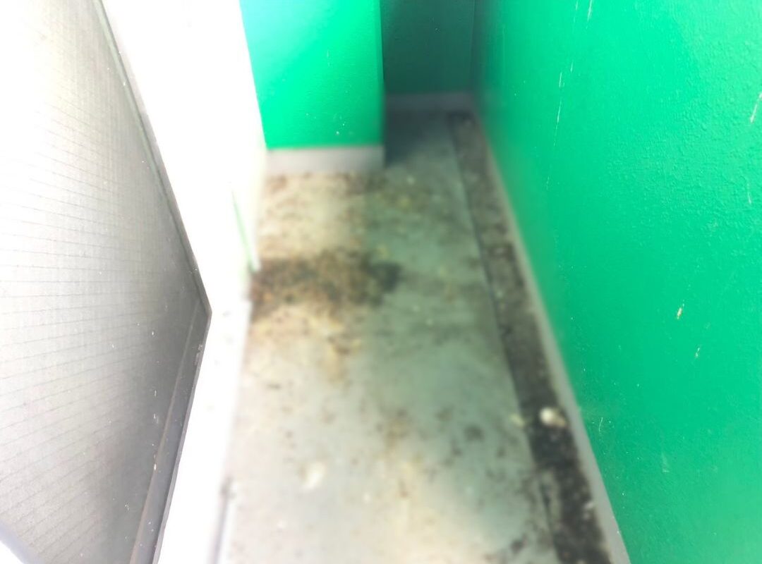 福岡県京都郡みやこ町　ハト(鳩)による被害　N様邸　駆除実績