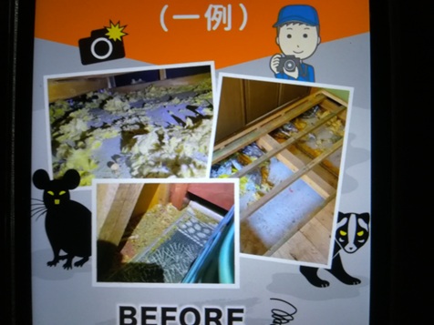 ポイント④被害状況の記録