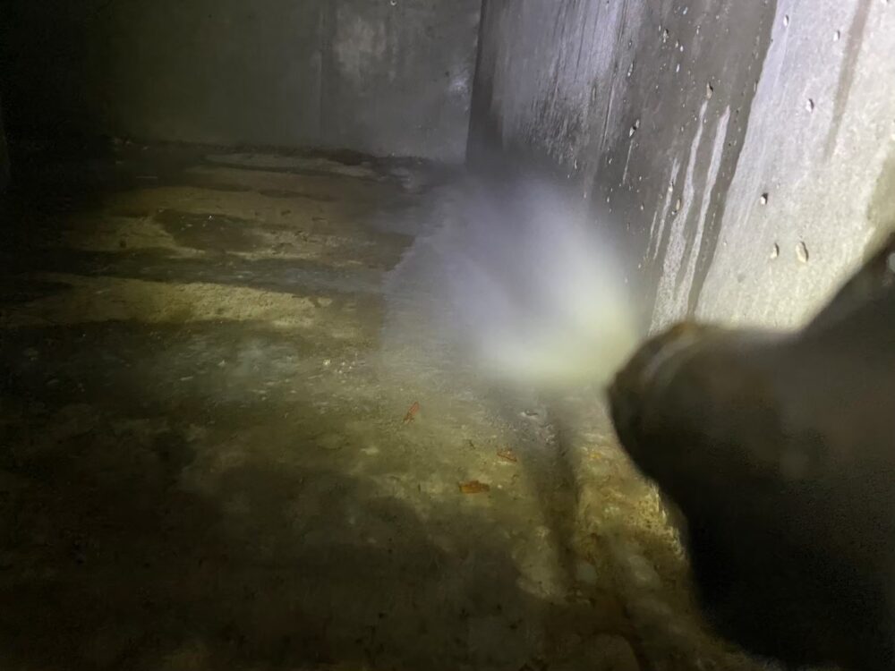 佐賀県唐津市　シロアリ(白蟻）による被害　Y様邸　駆除実績