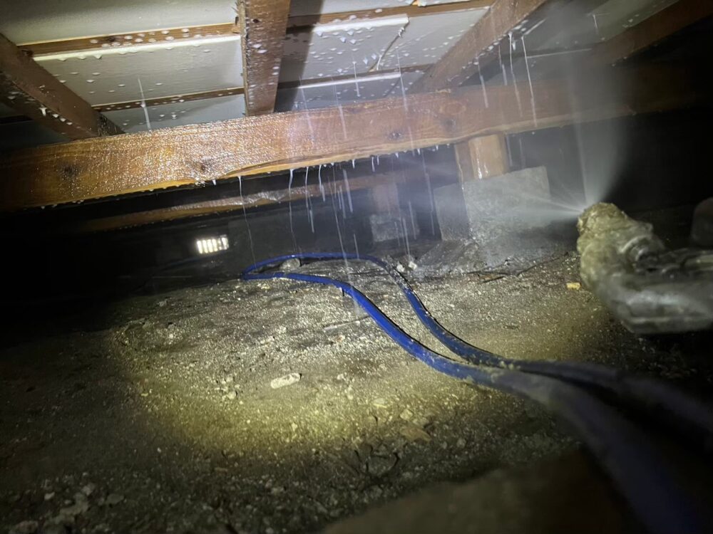 佐賀県三養基郡みやき町　シロアリ（白蟻）による被害　N様邸　駆除実績