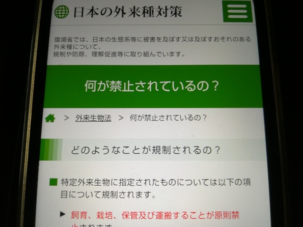 絶対にやってはいけないNG行動