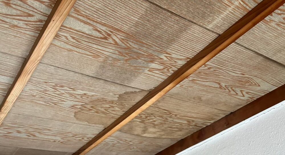 福岡県柳川市　ネズミによる被害　K様邸　駆除実績