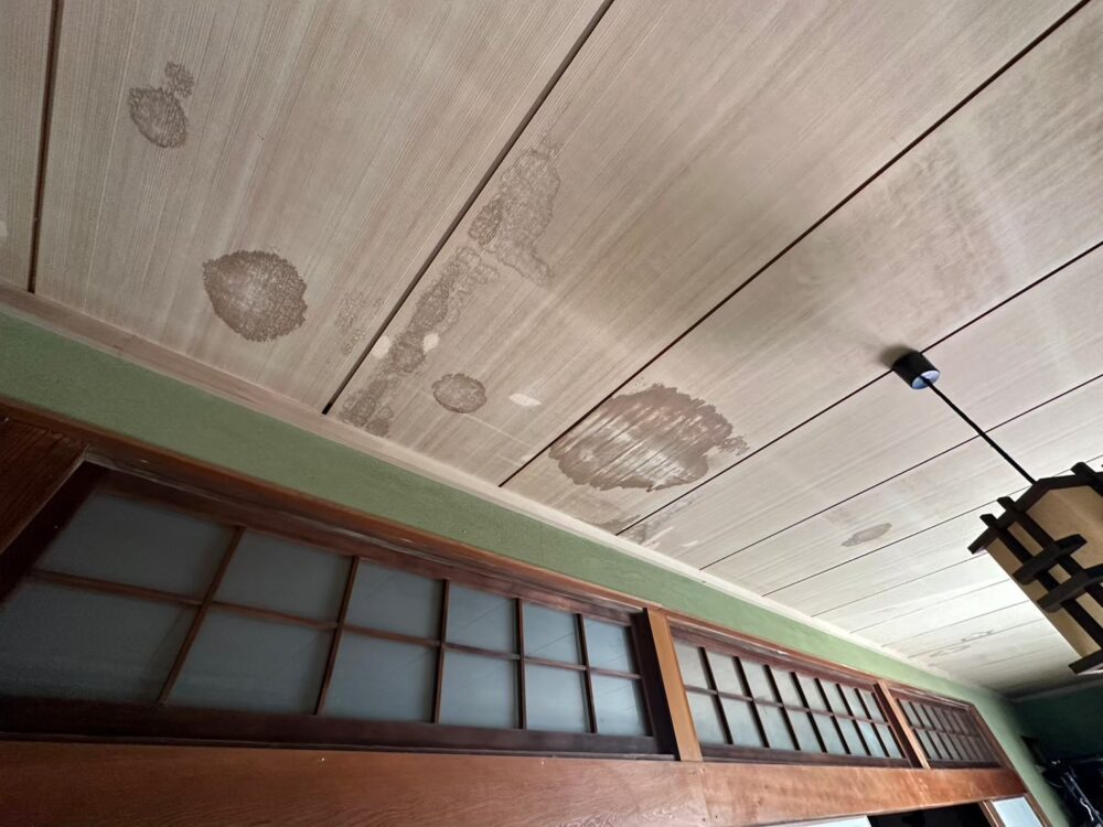 佐賀県神崎市　ネズミによる被害　S様邸　駆除実績