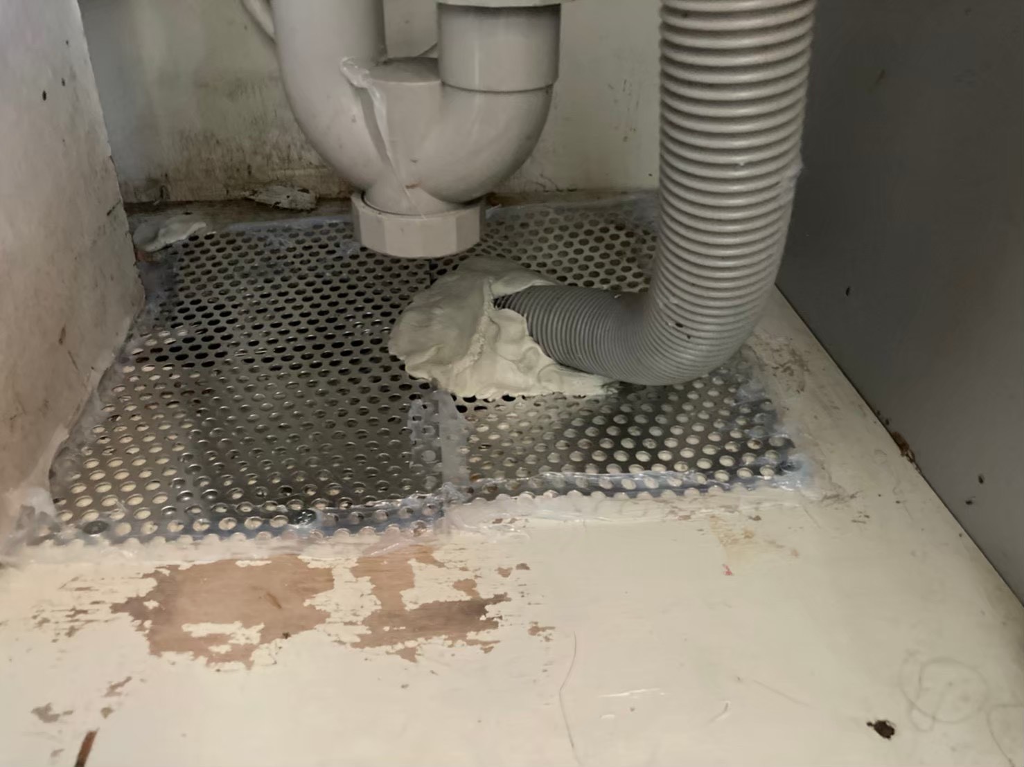 ネズミによる被害　D様邸　駆除実績