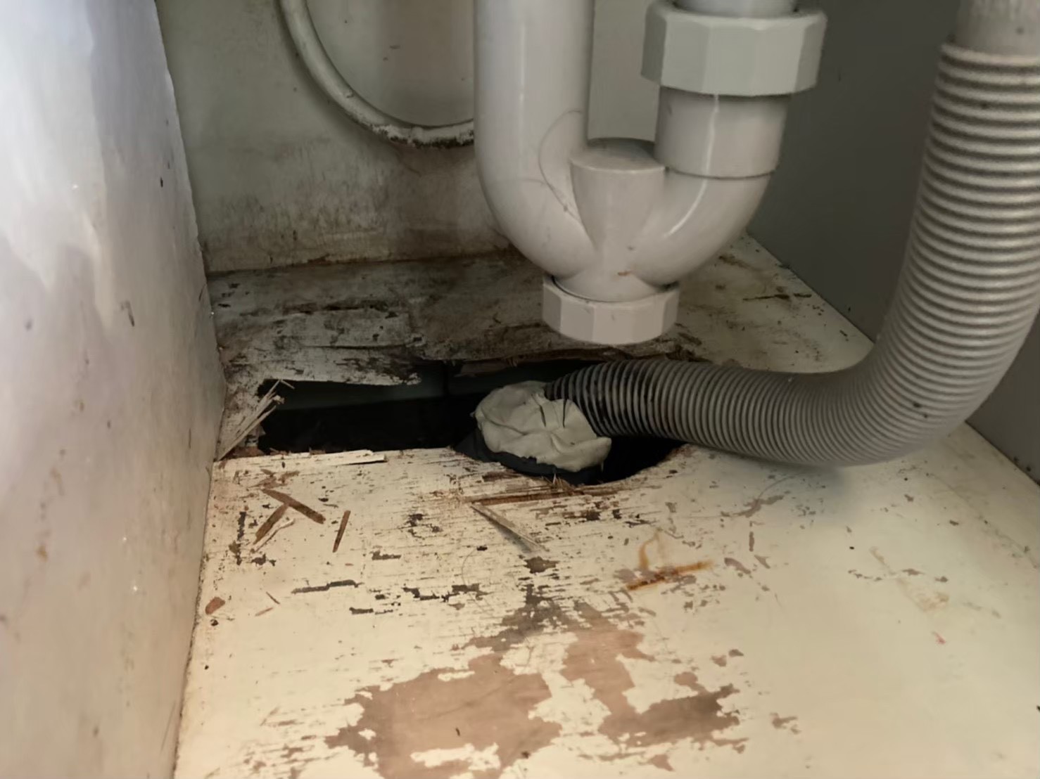 ネズミによる被害　D様邸　駆除実績