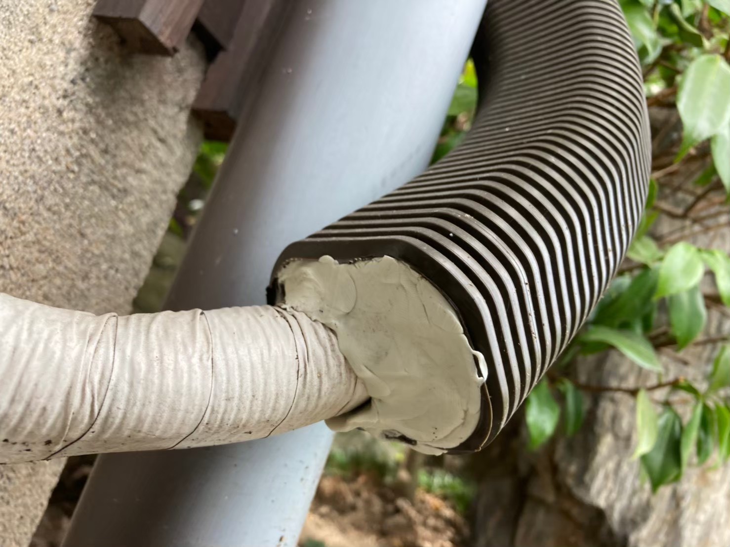 ネズミによる被害　K様邸　駆除実績