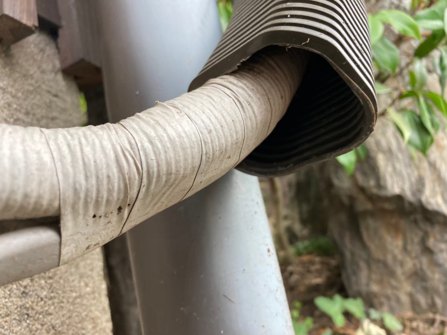 ネズミによる被害　K様邸　駆除実績