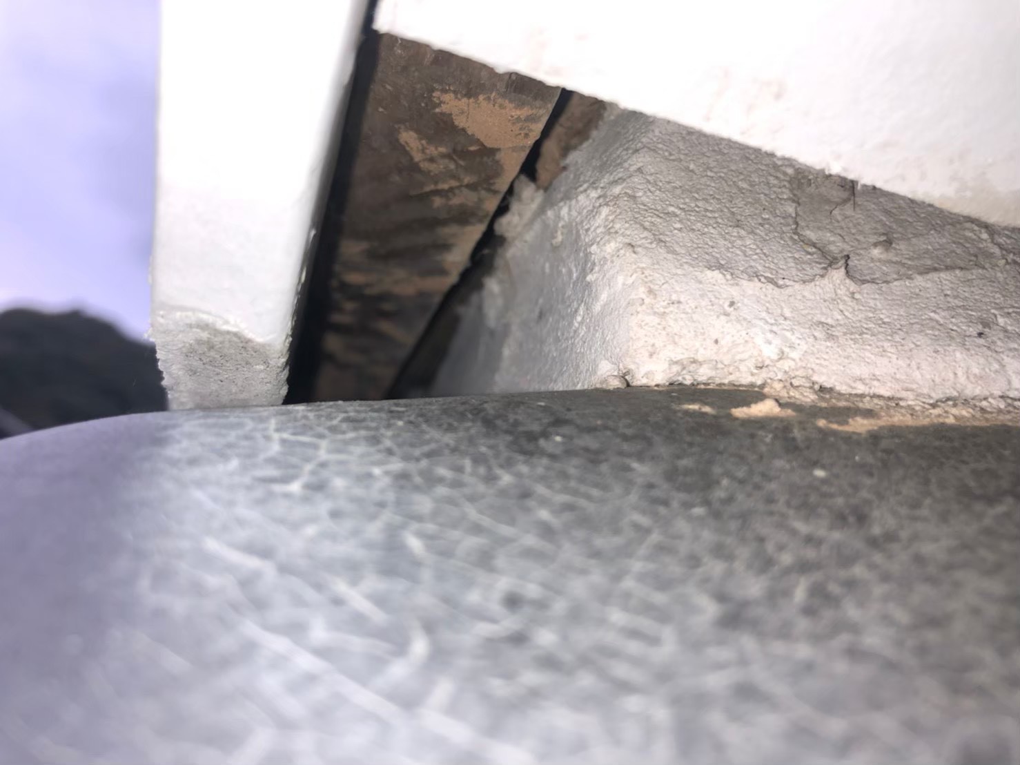 アライグマによる被害　M様邸　駆除実績