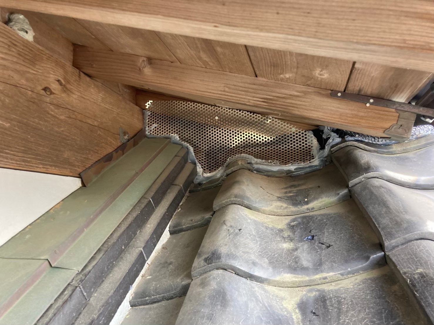 アライグマによる被害　M様邸　駆除実績