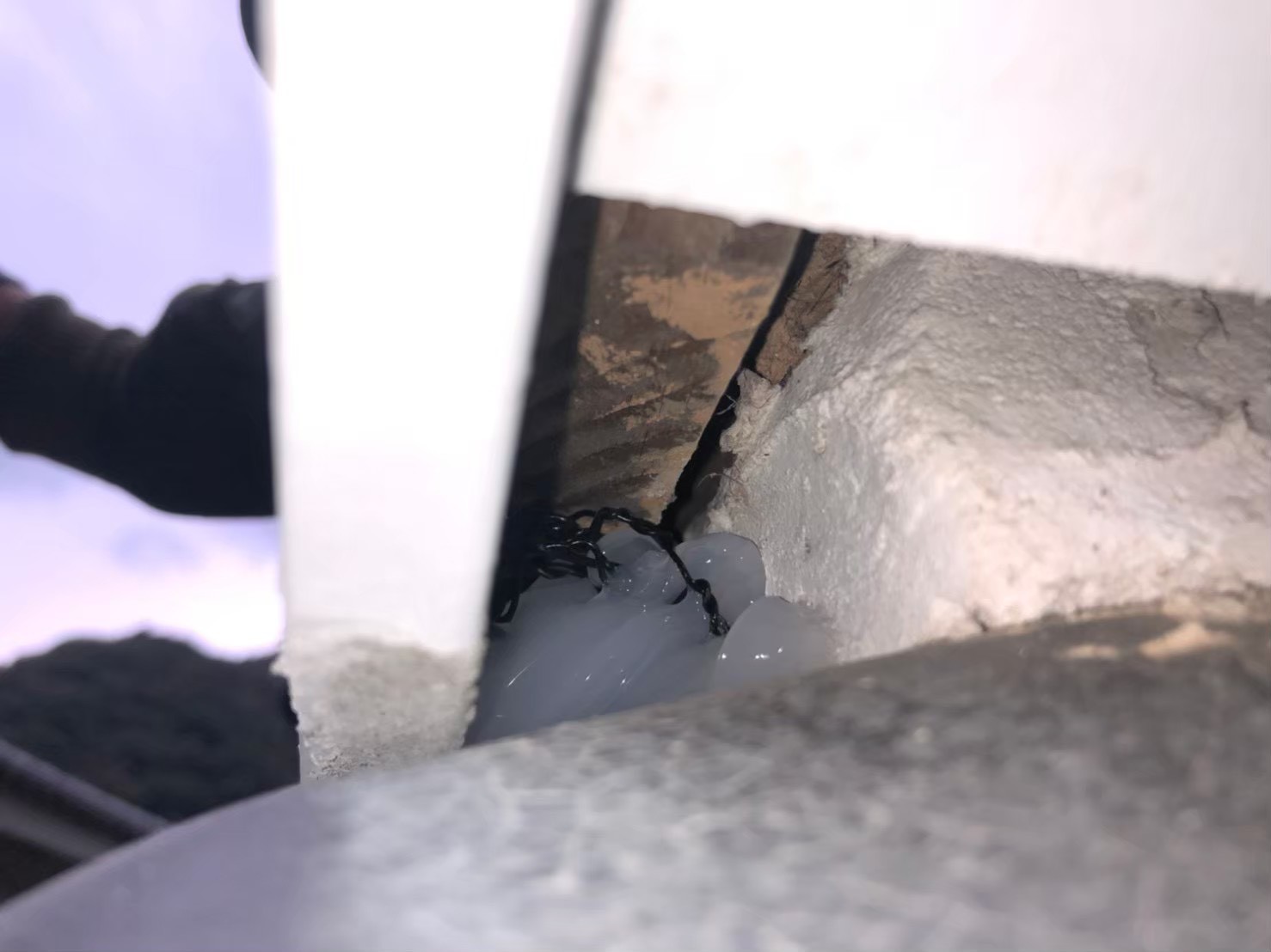 アライグマによる被害　M様邸　駆除実績