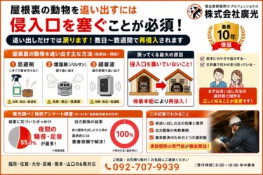 屋根裏の動物を追い出す方法｜なぜ戻る？バルサンの効果と対策