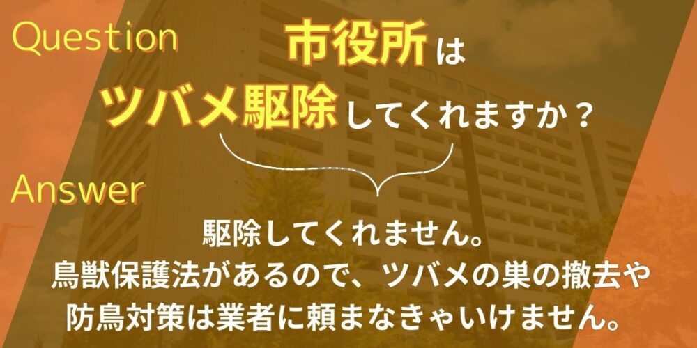 市役所は害獣駆除をしてくれますか？