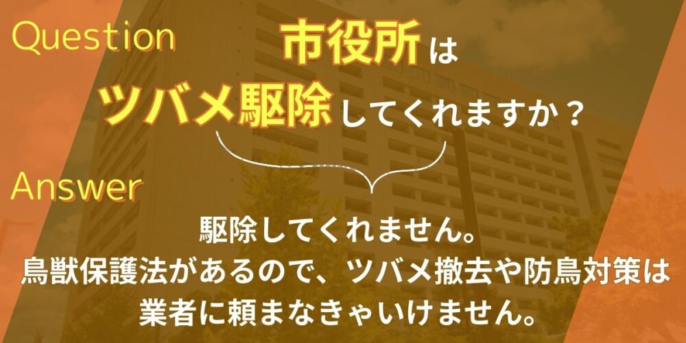 ツバメの巣は福岡市役所で撤去してもらえますか？