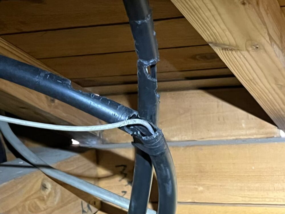 福岡県行橋市　ネズミによる被害　A様邸　駆除実績