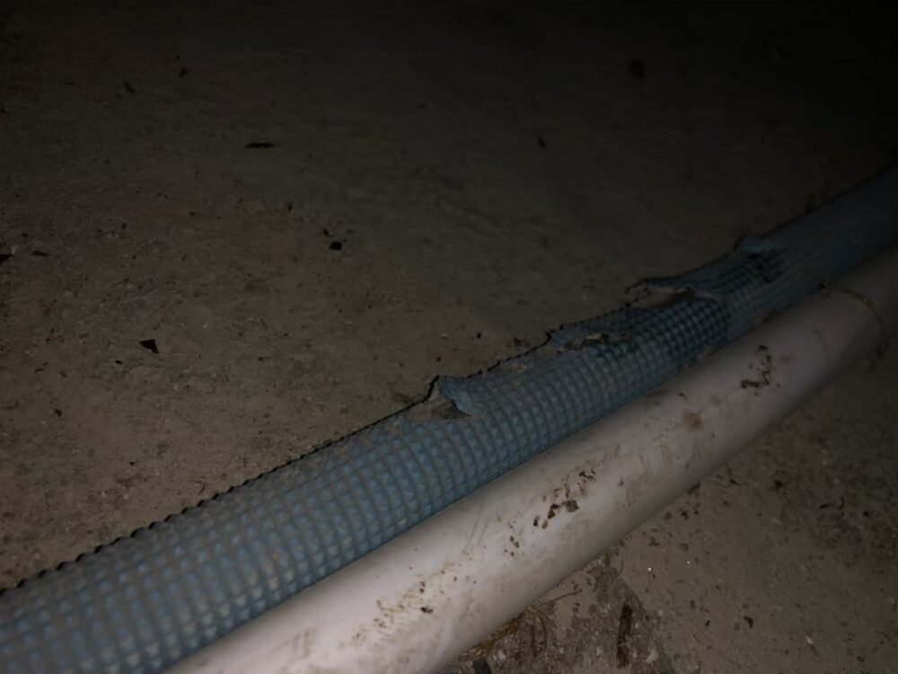 熊本県美里町　イタチによる被害　M様邸　駆除実績