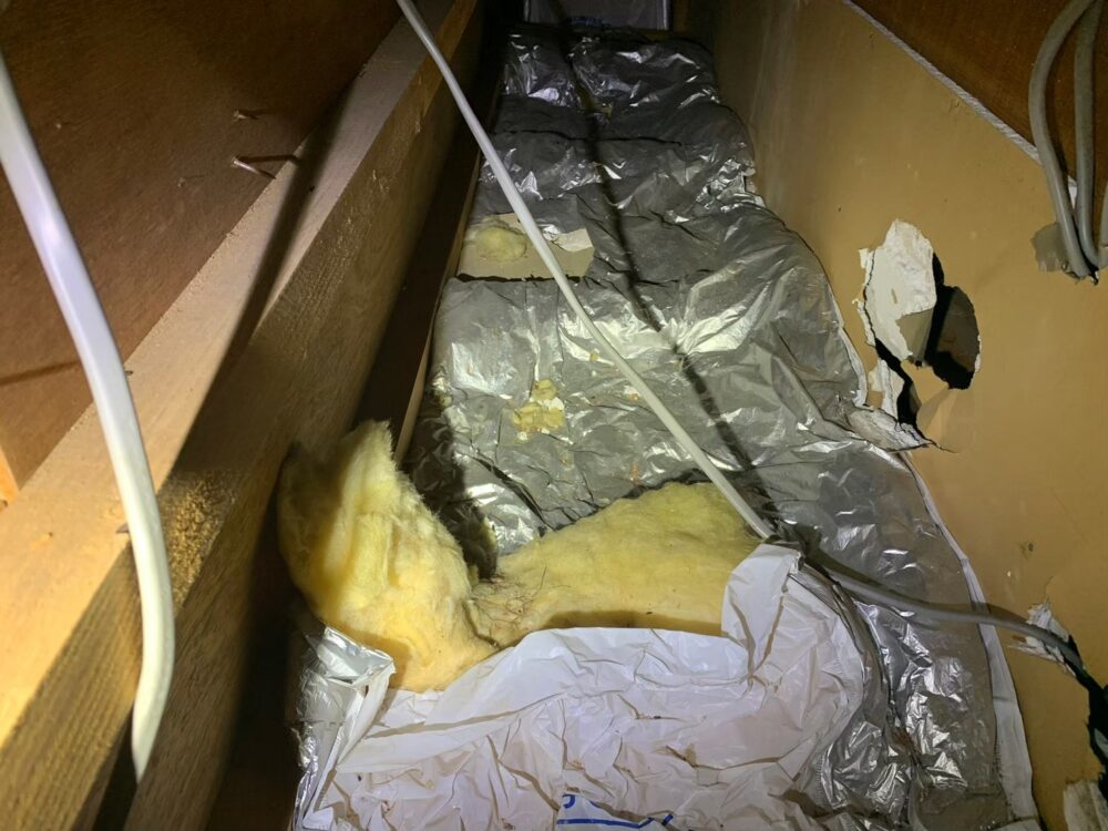 アライグマによる被害　株式会社H　T様　駆除実績