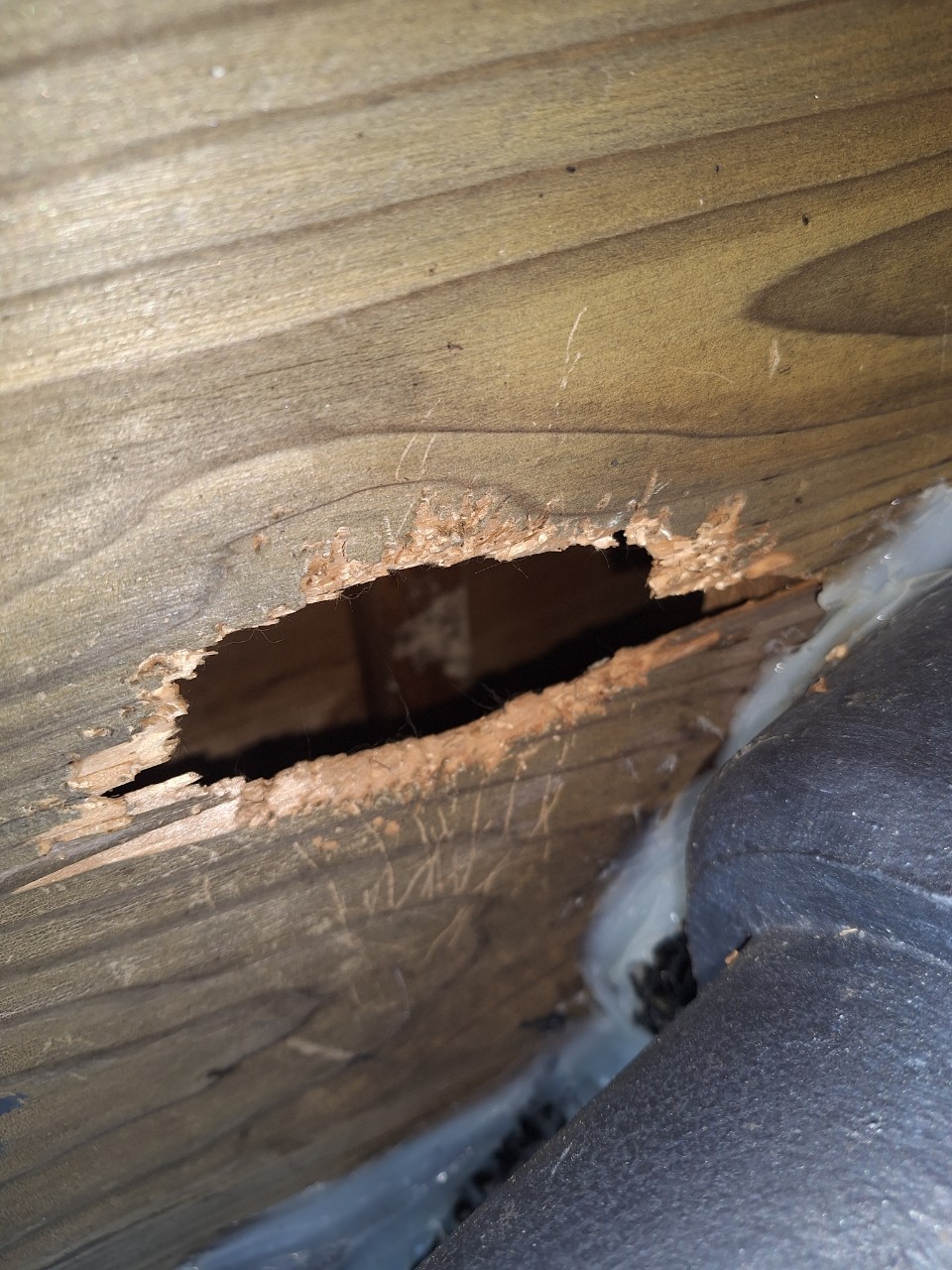 福岡県大野城市　ネズミによる被害　H様邸　駆除実績