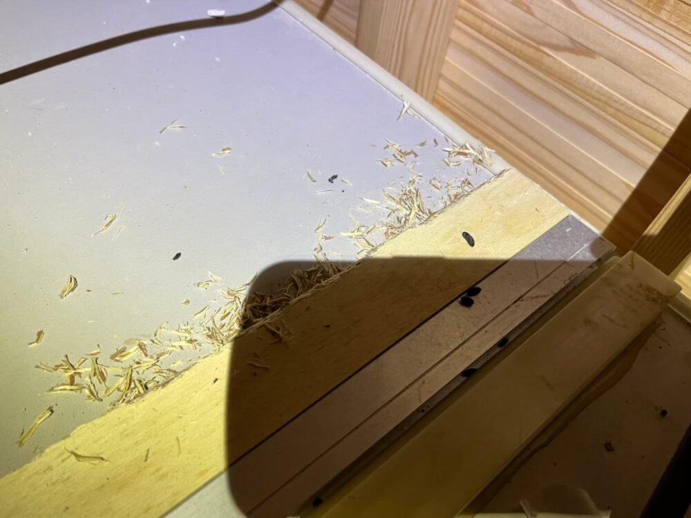 佐賀県小城市　ネズミによる被害　M様邸　駆除実績