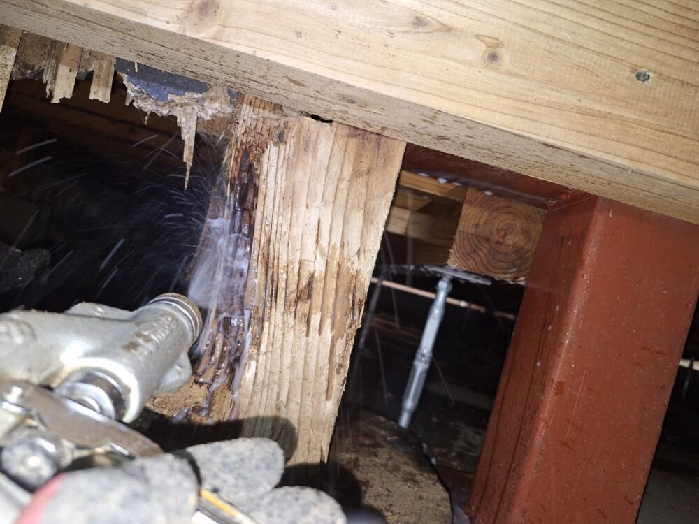 佐賀県三養基郡上峰町　シロアリ(白蟻）による被害　W様邸　駆除実績