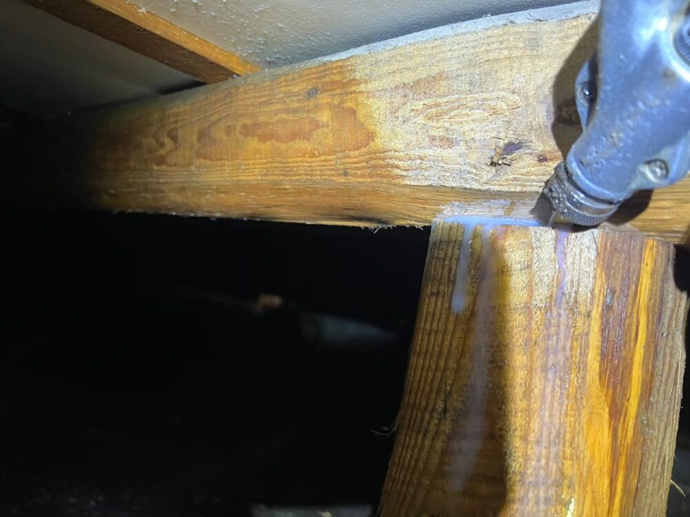 福岡県柳川市　シロアリ(白蟻）による被害　G様邸　駆除実績