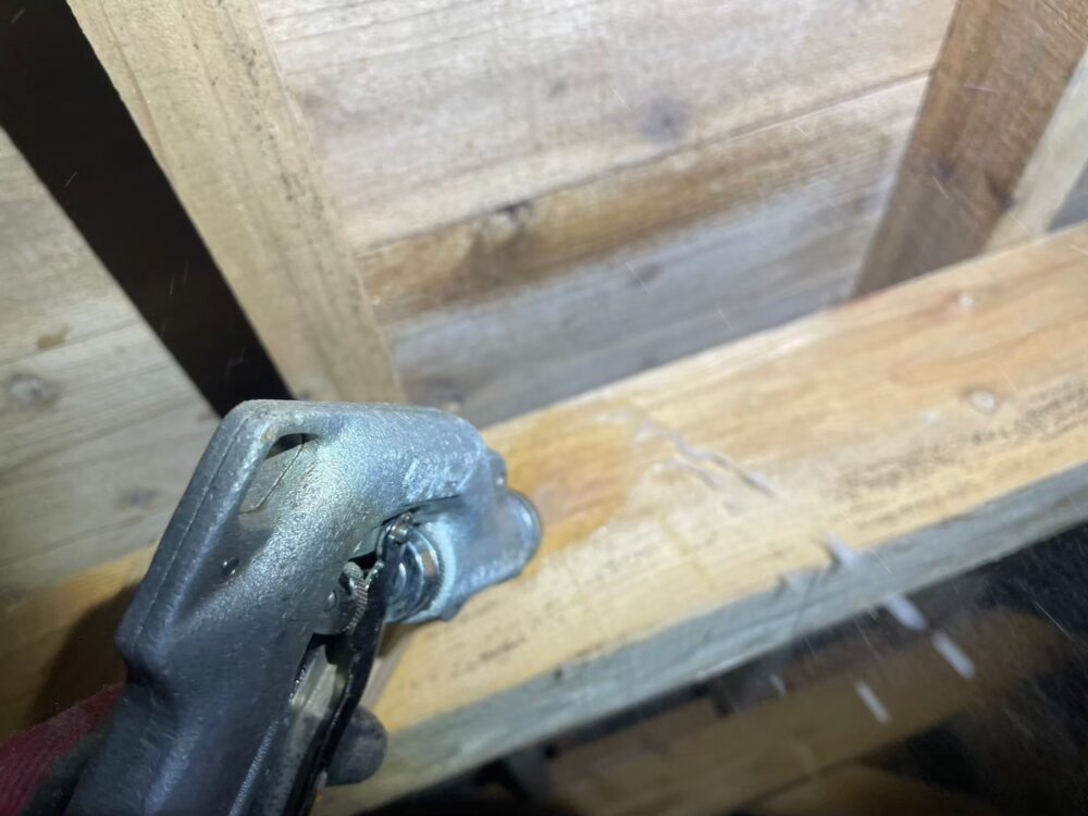 福岡県筑後市　シロアリ(白蟻）による被害　Y様邸　駆除実績