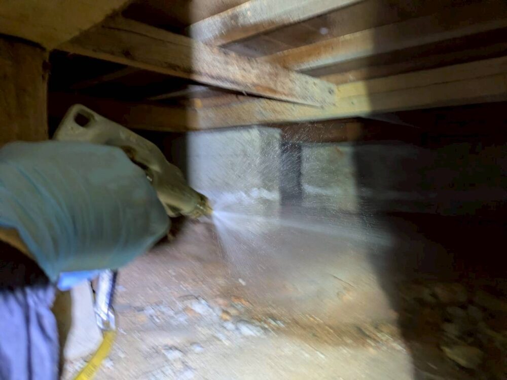 佐賀県杵島郡白石町　シロアリ(白蟻）による被害　W様邸　駆除実績