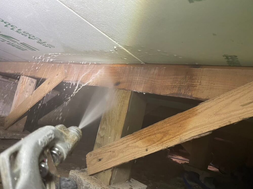 佐賀県三養基郡みやき町　シロアリ(白蟻）による被害　H様邸　駆除実績