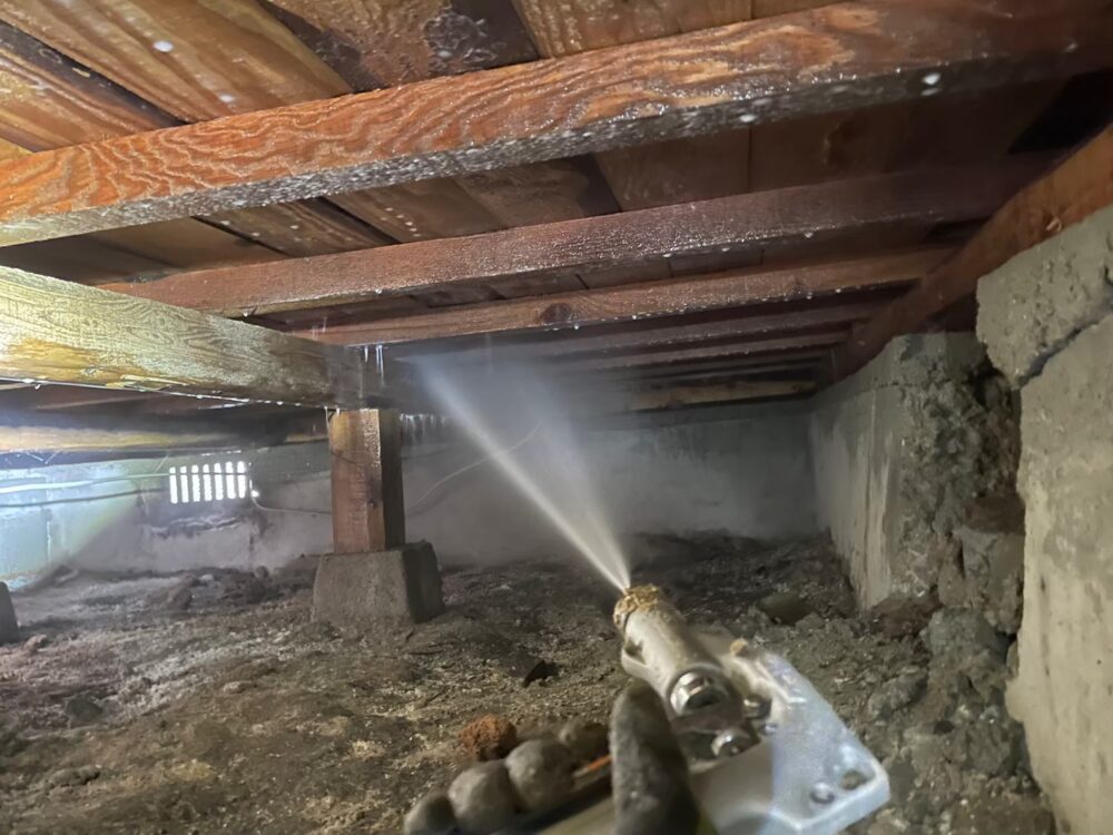 佐賀県伊万里市　シロアリ(白蟻）による被害　Y様邸　駆除実績