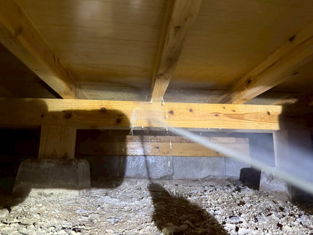 佐賀県三養基郡みやき町　シロアリ(白蟻）による被害　K様邸　駆除実績