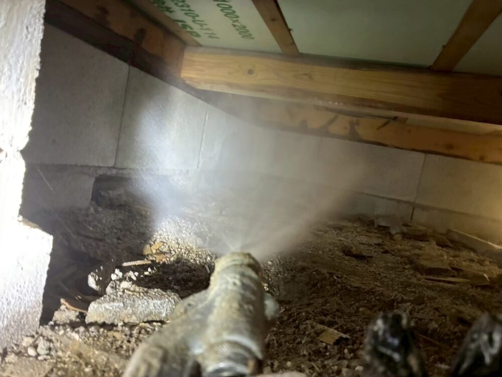 佐賀県藤津郡太良町　シロアリ(白蟻）による被害　Y様邸　駆除実績