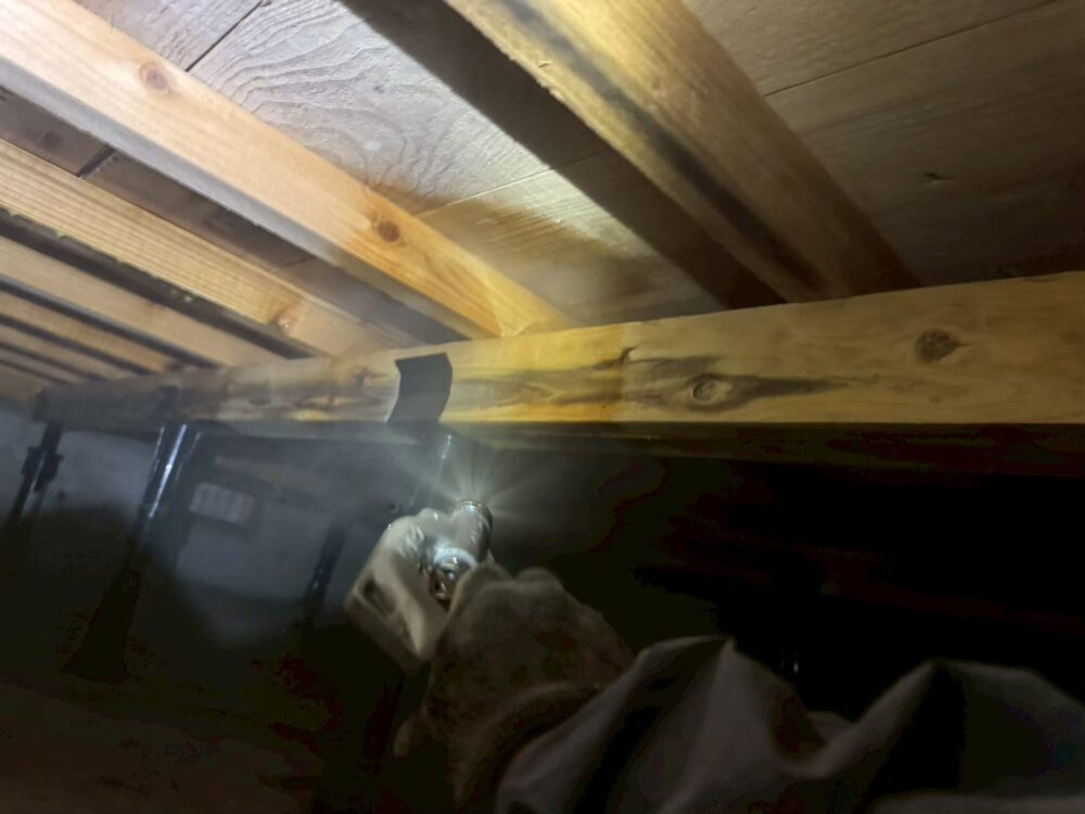 佐賀県鳥栖市　シロアリ(白蟻）による被害　M様邸　駆除実績