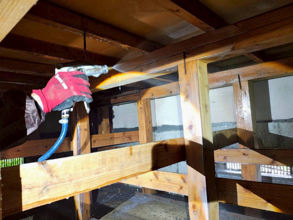 長崎県長崎市　シロアリ(白蟻）による被害　N様邸　駆除実績