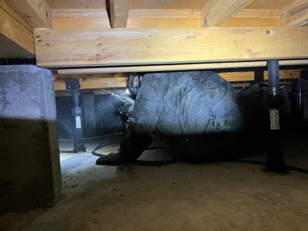 佐賀県杵島郡江北町　シロアリ(白蟻）による被害　M様邸　駆除実績