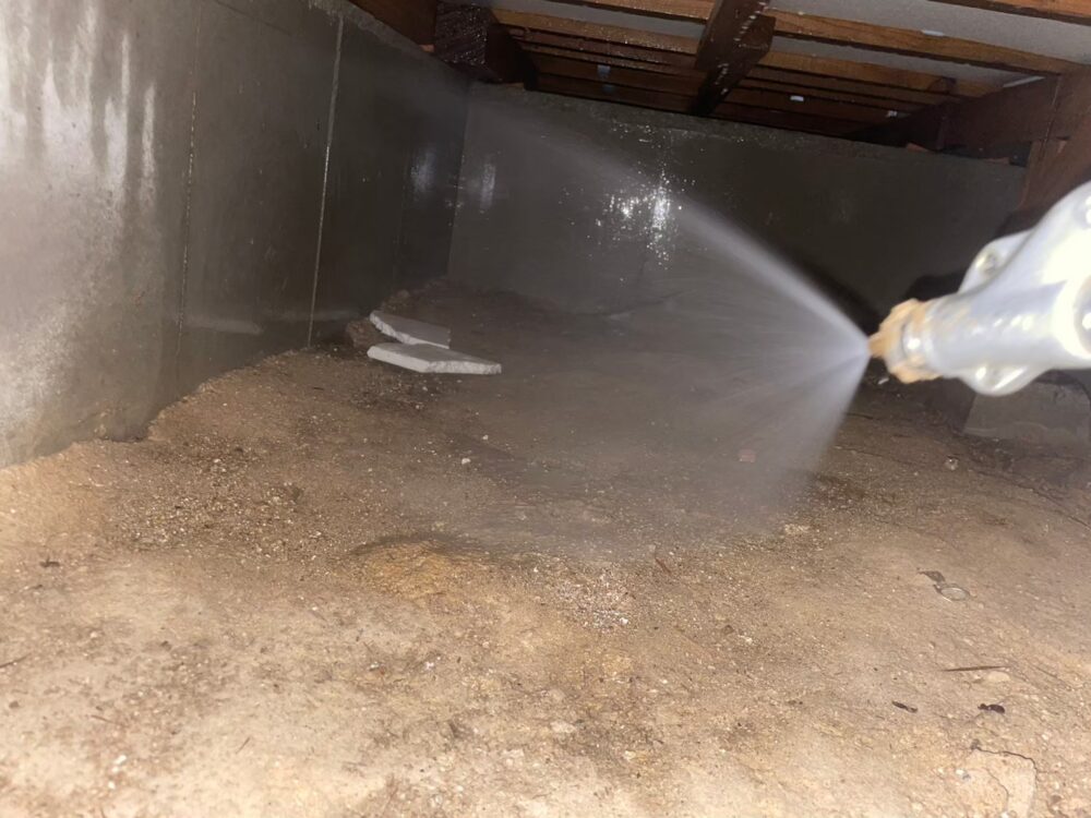 佐賀県西松浦郡有田町　シロアリ(白蟻）による被害　S様邸　駆除実績