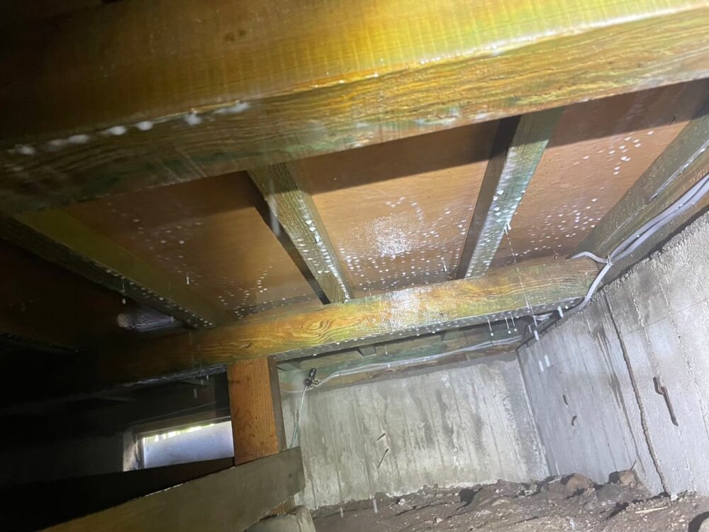 福岡県朝倉郡東峰村　シロアリ(白蟻）による被害　H様邸　駆除実績