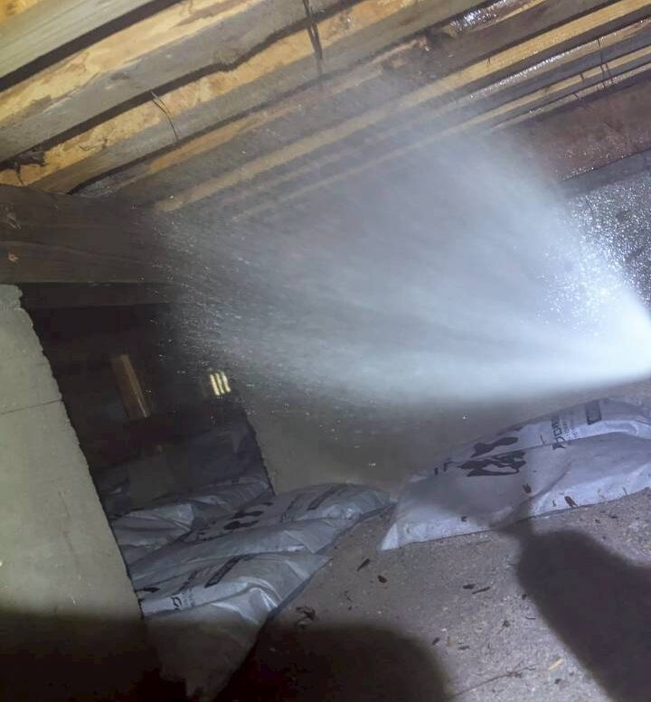 福岡県鞍手郡鞍手町　シロアリ(白蟻）による被害　Y様邸　駆除実績