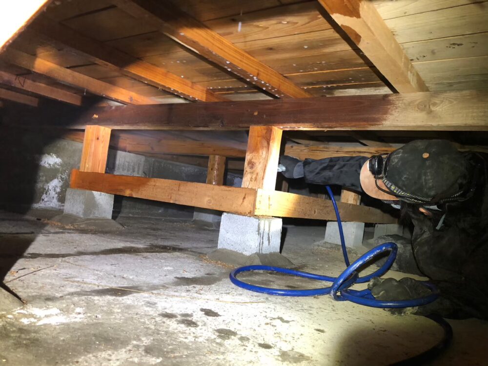 福岡県飯塚市　シロアリ(白蟻)による被害　S様邸　駆除実績