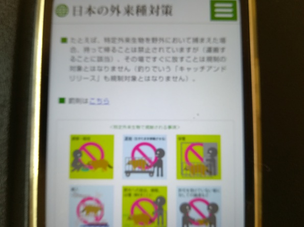 特定外来生物法による規制