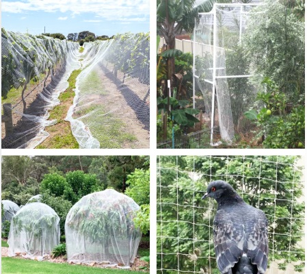 自力対策（DIY）