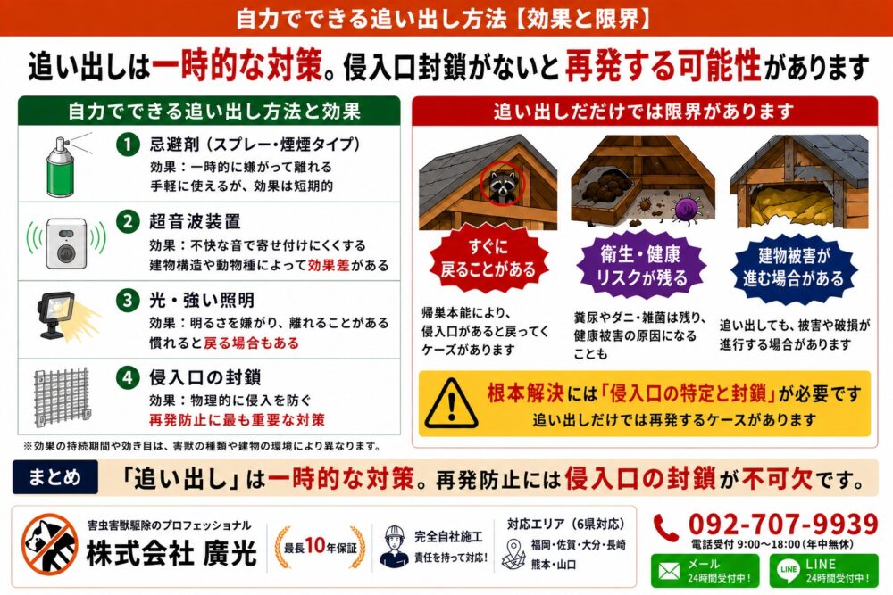 自力でできる追い出し方法【効果と限界】