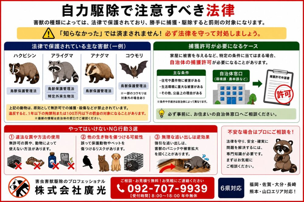 自力駆除で注意すべき法律