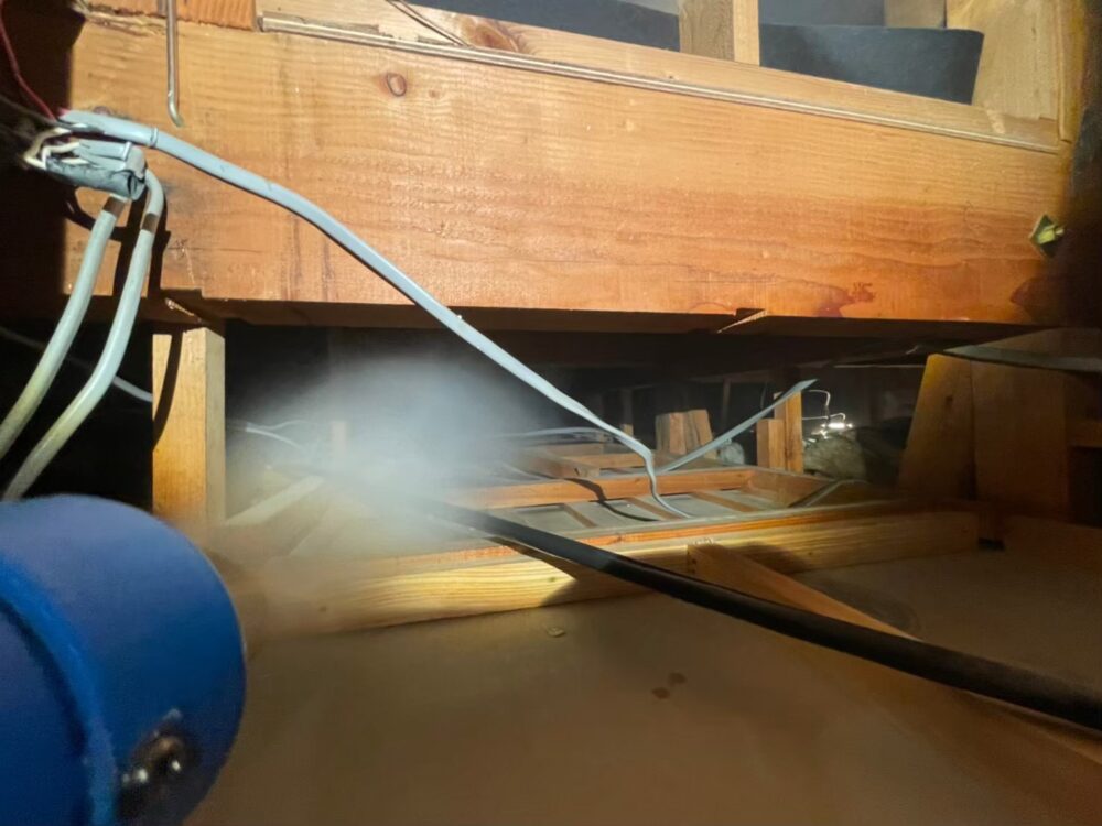 ダニによる被害　E様邸　駆除実績