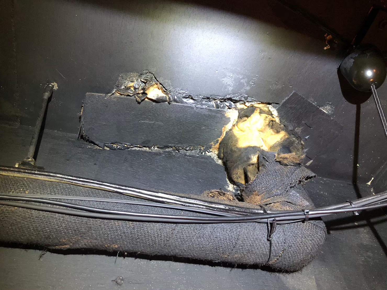 佐賀県鳥栖市　ネズミによる被害　M様邸　駆除実績