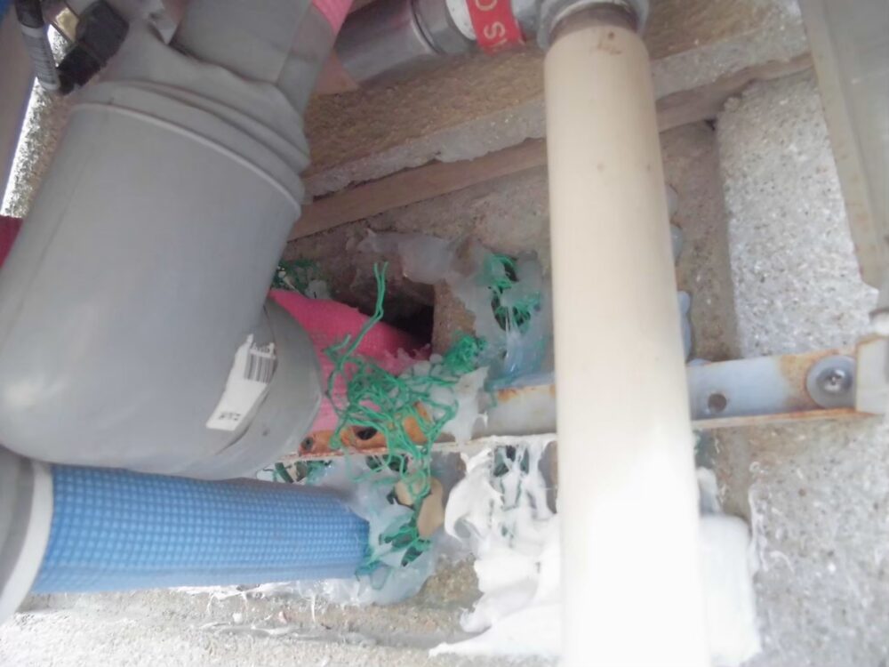 イタチによる被害　U様邸　駆除実績