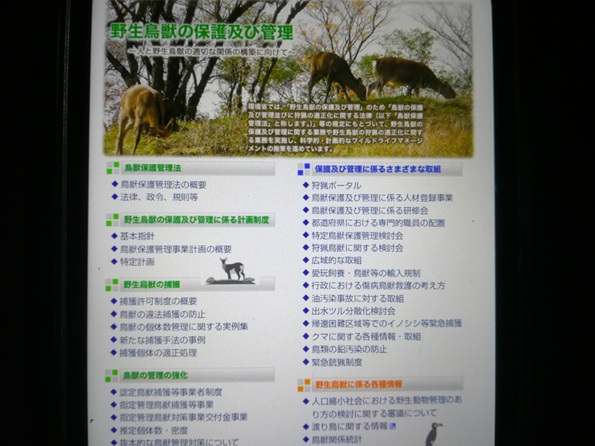 鳥獣保護管理法との関係