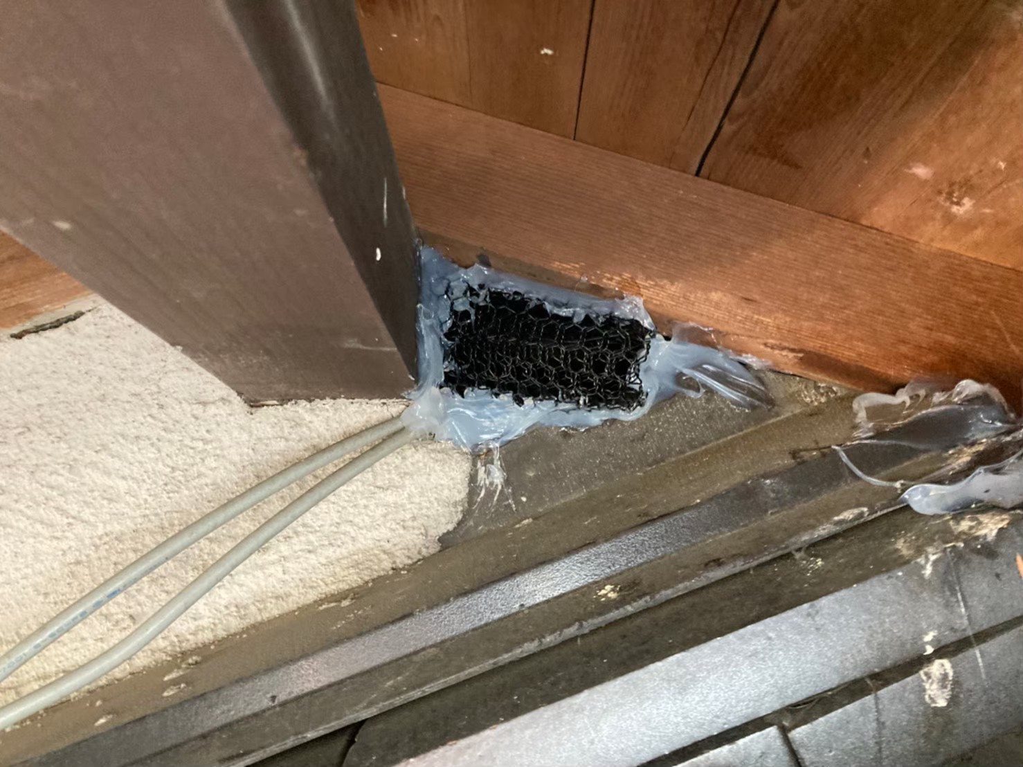 イタチによる被害　H様邸　駆除実績